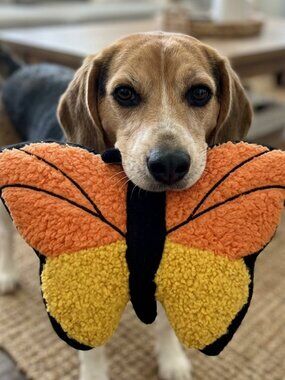 Monarch Butterfly Fleece Dog Toy - Durable Double-Stitched Squeaker& Crinkle Toy